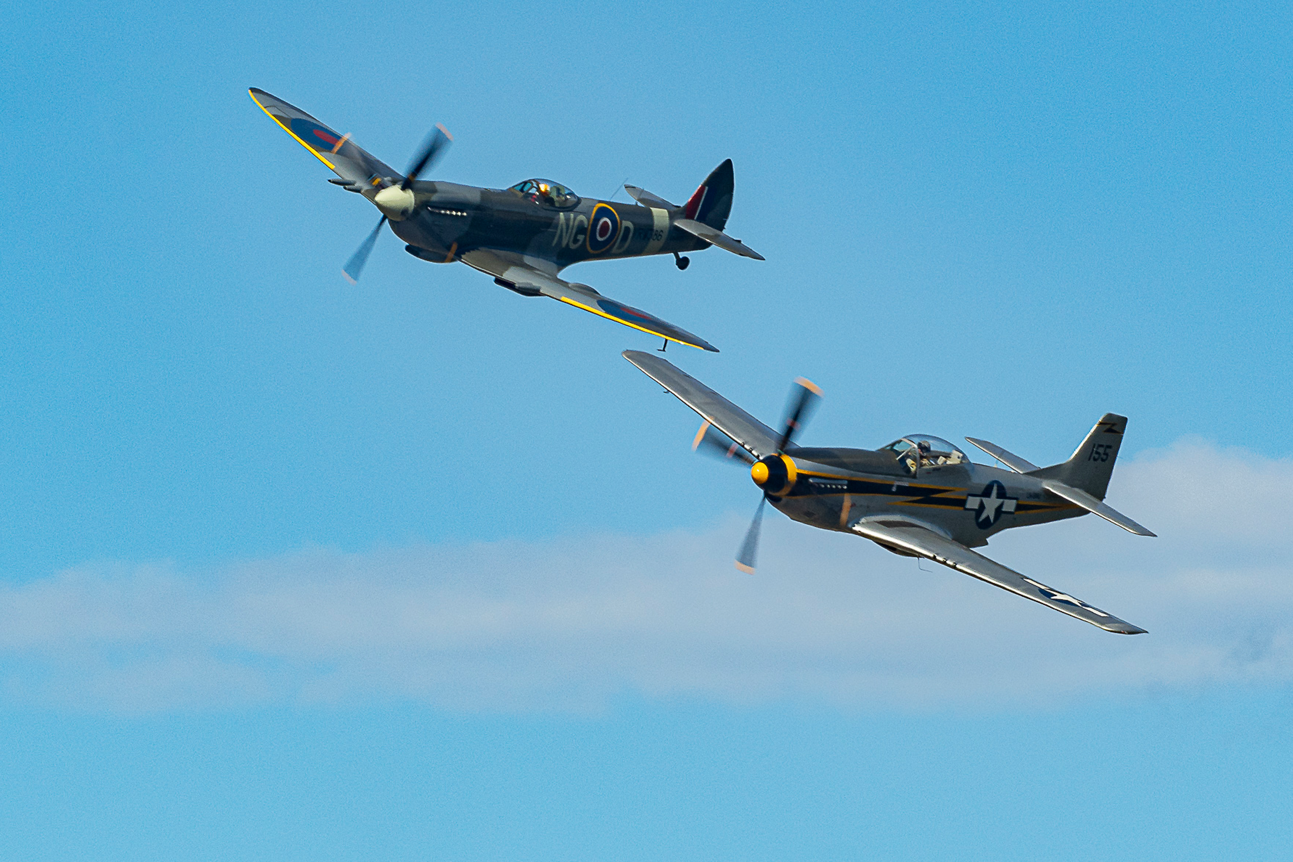 Två stridsflygplan av äldre modell flyger. Himlen är blå.